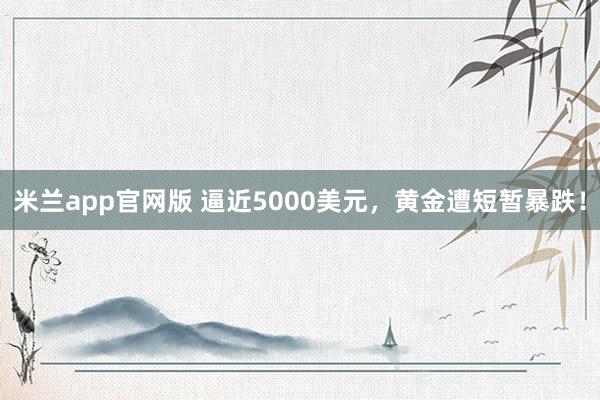 米兰app官网版 逼近5000美元，黄金遭短暂暴跌！