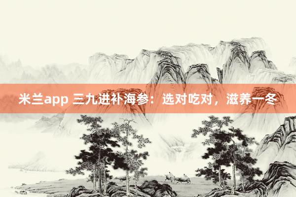 米兰app 三九进补海参:选对吃对,滋养一冬