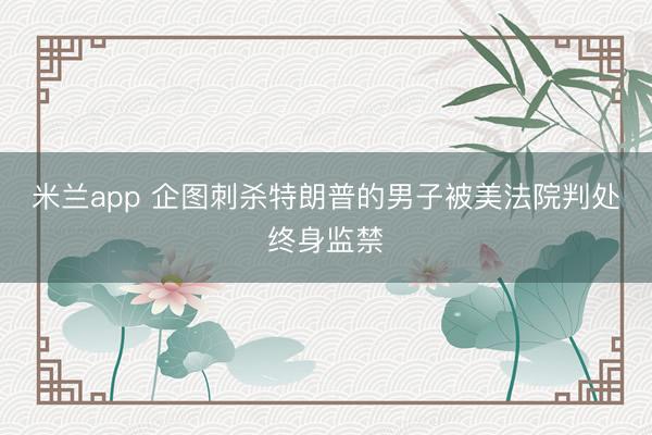 米兰app 企图刺杀特朗普的男子被美法院判处终身监禁